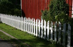 Vertikaalne nurga all lõigatud otstega lippaed